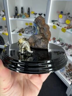 Boulder Opal With Dinosaur -Home Decor Store 01884CEA 16BF 4018 A50A 4C7ED75D08B3