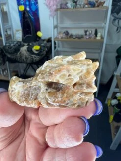 Chocolate Calcite Dragon Head -Home Decor Store 01DCA12E D3E8 40D6 8C04 BFBDED7CC99D