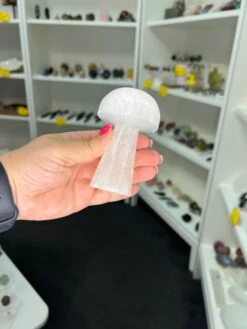 Selenite Mushroom -Home Decor Store 0452DDCD 6C22 4E31 8483 1D0233A706F3