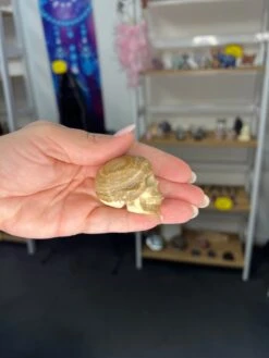 Chocolate Calcite Skull -Home Decor Store 048516CA 630F 46CB BEE2 3142B80FBF2B