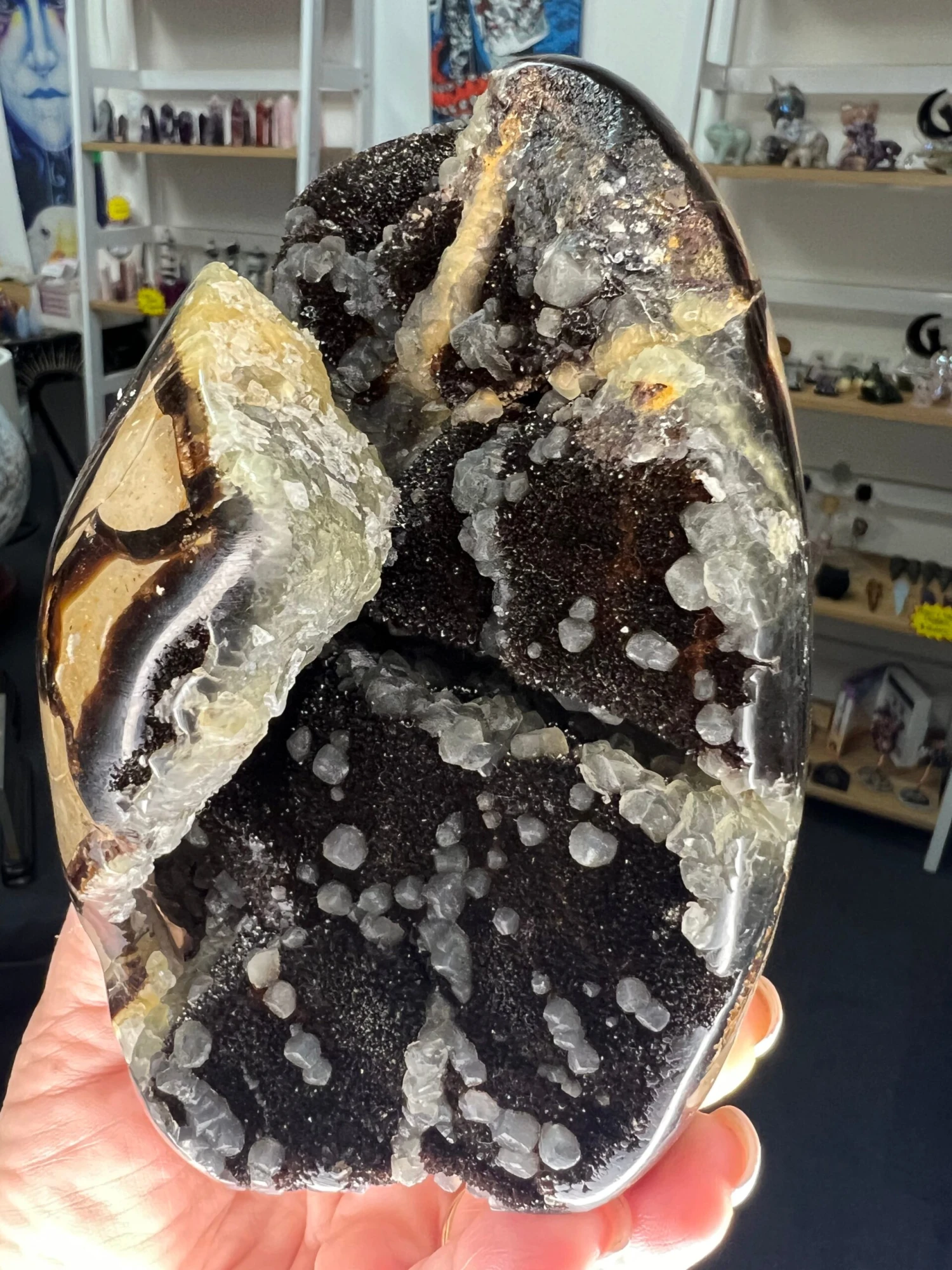 Septarian Freeform 4 Septarian Freeform - Image 2