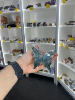 Moss Agate Butterfly -Home Decor Store 0567E948 35B4 4B71 92C7 38D1CF61A66E