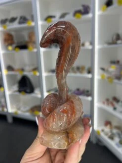 Fire Quartz Cobra / Snake -Home Decor Store 0842813F A04C 4C64 A09A 1C47DD50B5A5