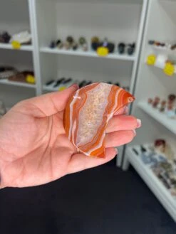 Carnelian Moon -Home Decor Store 085D8497 6507 4B6B 8659 C37BA02F1D6F