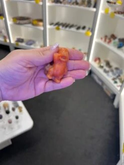 Sunstone Charmander -Home Decor Store 08EB6F8C B95E 4B44 80FD AFB0461B0874