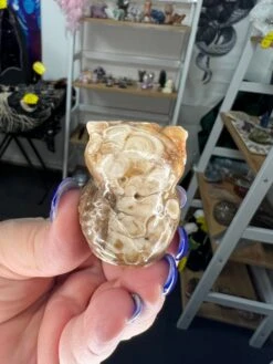 Chocolate Calcite Owl -Home Decor Store 0B92F404 5815 487E A0F6 79EEA8519933