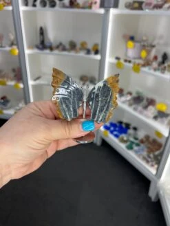 Caribbean Calcite Butterfly -Home Decor Store 0C530CC9 B222 44F1 921D 22E9C5B1DD1C