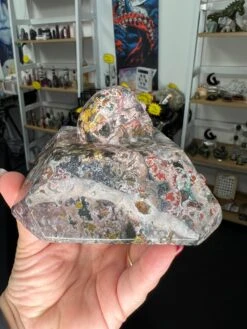 Ocean Jasper Skull On Slab -Home Decor Store 0DA65B7E 22FD 4D44 BFDE 0EBA0A4A722E