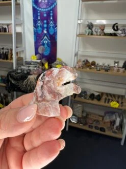 Mexican Lace Agate Dinosaur Head