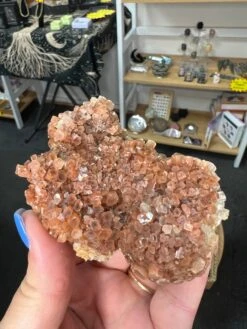 Aragonite Raw Specimen -Home Decor Store 10F3761D 4D43 4BE8 9A82 8C569857F723