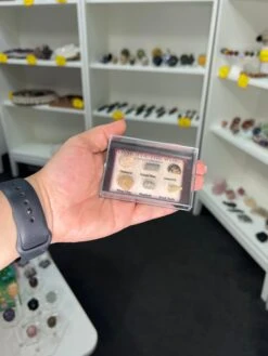 Fossils Of The World Box -Home Decor Store 110BF1E8 2F4F 4121 8D78 21FE06097B7B