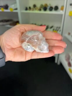 Flower Agate Skull -Home Decor Store 12BD0BF8 88AD 49C5 A468 465734E66413