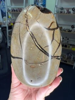 Septarian Freeform 11 Septarian Freeform -Home Decor Store 13D6A0A0 FB82 4E6F B72D B07CE5F7EF20
