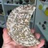 Leopardskin Jasper Moon -Home Decor Store 157BADE8 275A 42EF 94C4 53DD1D8ED4F3