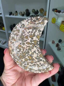 Leopardskin Jasper Moon