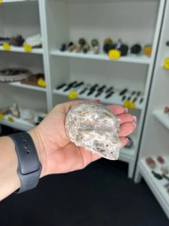 Sphalerite Skull -Home Decor Store 15DF9123 0FD9 4389 9BBC 77A32D4456F1