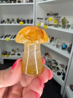 Golden Healer Mushroom