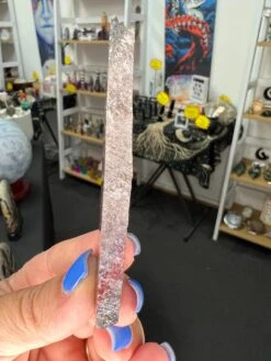 Auralite 23 Slice -Home Decor Store 1A32FC11 90B7 4B7C 8E55 4FBCB57697B9