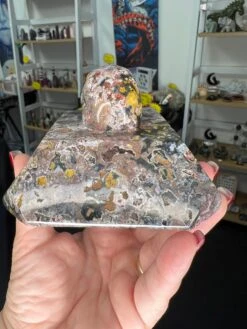 Ocean Jasper Skull On Slab -Home Decor Store 1DA2E76C 85C2 4C32 919D C71AEDBA659B