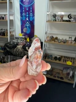 Mexican Lace Agate Dinosaur Head -Home Decor Store 1DEBE606 5FE6 4643 811C 9CD93103C716