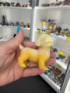 Luminous Dog (Glow In The Dark) -Home Decor Store 1ED0BF87 4781 4021 BF79 712C841F30EB