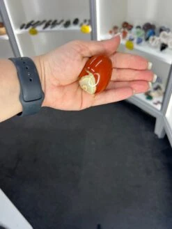 Red Jasper Egg -Home Decor Store 1F8CFA83 1198 448F 9907 33D313D33190