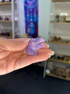 Lepidolite Dinosaur Head -Home Decor Store 204EDA1A 4D6D 41D3 B771 A3D575FBD488