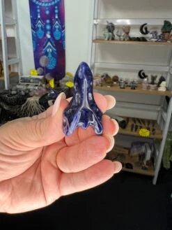 Sodalite Dinosaur Skull -Home Decor Store 25F8AEEA 33B6 48B4 B336 AC2B3491A3E9