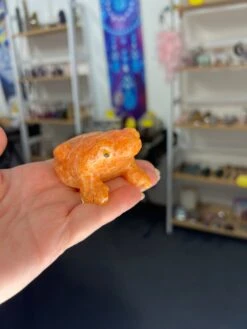 Sunstone Frog -Home Decor Store 273BE4F4 9B78 41C3 8938 6EA6CD094150