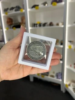 Campo Del Cielo Meteorite Coin 7 Campo Del Cielo Meteorite Coin -Home Decor Store 2A1323F3 CD23 4A21 83BB 39EB8A205280