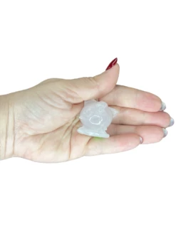 Rose Quartz Jigglypuff -Home Decor Store 2A3740C2 DEA1 4C46 8E00 310ADE80774A