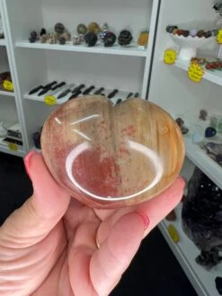 Petrified Wood Heart -Home Decor Store 2CFB0307 D1F8 40F8 A65A 537063C0C91B