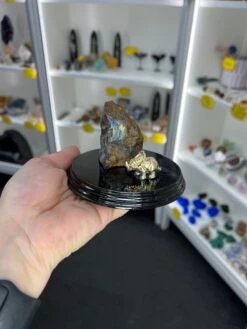 Boulder Opal With Dinosaur -Home Decor Store 2D1FC743 7865 445E A9B5 83D8F8CE4A6A