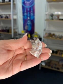 Mexican Lace Agate Dinosaur Head -Home Decor Store 2DA2DF9A 083B 44B5 BF07 4C5465242466