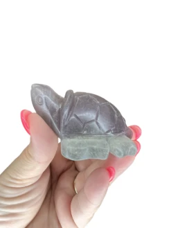 Fluorite Turtle -Home Decor Store 2E10DB99 D429 4D94 8B0D EE678B0B1765