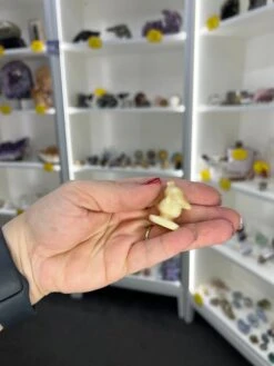 Yellow Calcite Psyduck -Home Decor Store 31F8D562 FF71 4F78 BA16 3B70FD4A3723