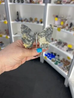 Crazy Lace Agate Butterfly -Home Decor Store 3699296C FD38 4B35 BB46 371D20BF33E0