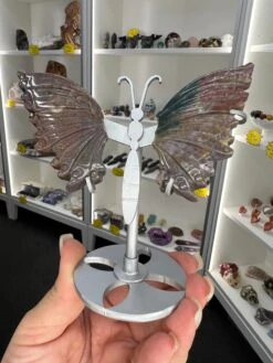 Ocean Jasper Butterfly