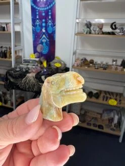 Caribbean Calcite Dinosaur Head