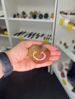 Petrified Wood Heart -Home Decor Store 38C2D814 4735 45A6 BD82 4516ADB2F481