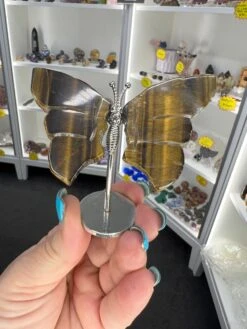 Tigers Eye Butterfly