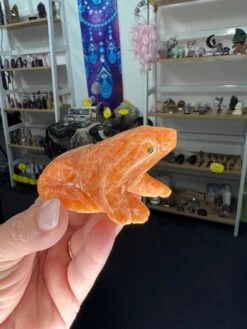 Sunstone Frog