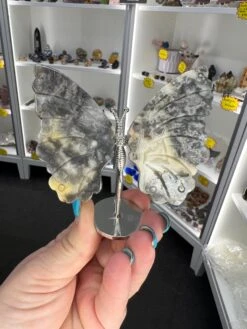 Crazy Lace Agate Butterfly