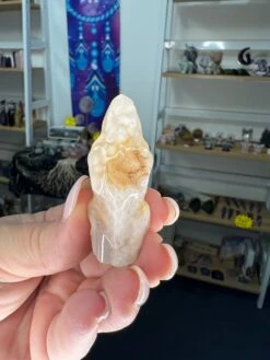 Flower Agate Dinosaur Head -Home Decor Store 3ED4EC59 2110 4F63 B481 60C7346495CC