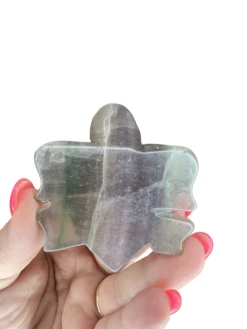 Fluorite Turtle -Home Decor Store 401BFF7A 608A 4BA8 A1D5 3F91C0C216AB