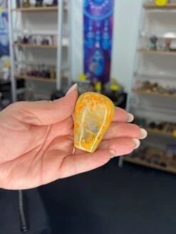 Bumblebee Jasper Freeform -Home Decor Store 41C91F8F 2C81 432F BF6D 551014189947