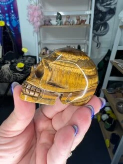 Tiger’s Eye Skull -Home Decor Store 4309DDE8 6B4F 4793 9EDD DEDE5911E24E