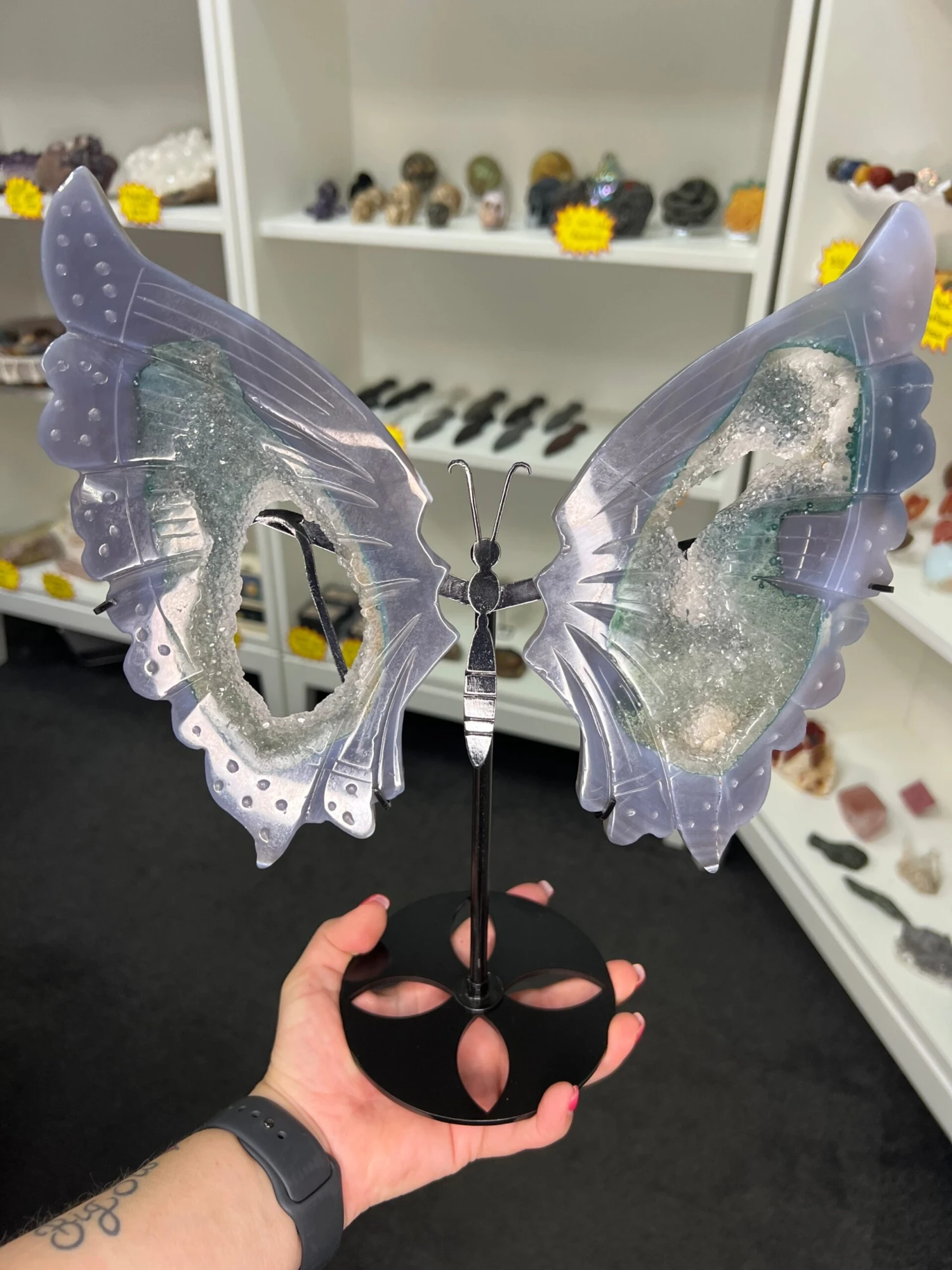 Amethyst X Agate Butterfly 3 Amethyst X Agate Butterfly