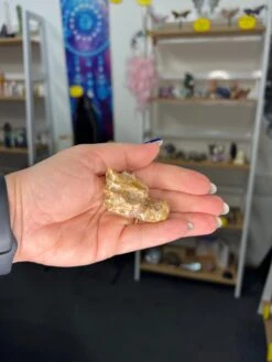 Chocolate Calcite Dragon Head -Home Decor Store 447D29D9 D0DC 4285 BBC5 713C9AF31337