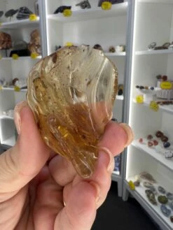 Amber Pack -Home Decor Store 45E64AA7 6AA0 4AB8 9E41 71926ED9002D